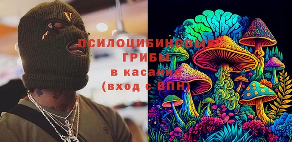 спайс Нягань