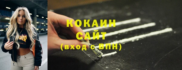 шишки Нязепетровск