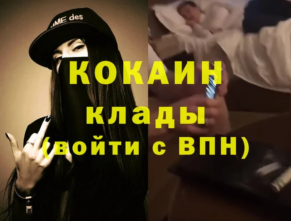 гидра Фёдоровский