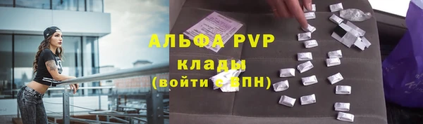 спиды Касимов