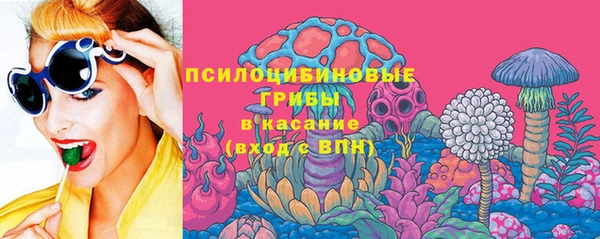 бутират Каменка