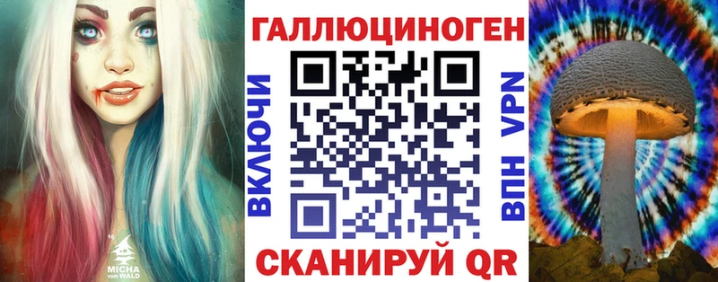 сколько стоит  Сольцы  Псилоцибиновые грибы прущие грибы 